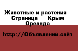  Животные и растения - Страница 9 . Крым,Ореанда